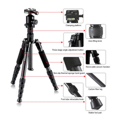 TRIOPO T259G+Q2 Adjustable Portable Carbon Fiber Tripod with Q-2 Ball Head for SLR Camera