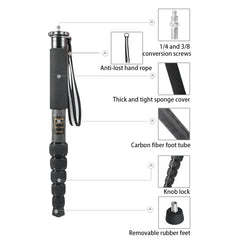 BEXIN P306C Portable Travel Outdoor DSLR Camera Carbon Fiber Monopod Holder, P306C