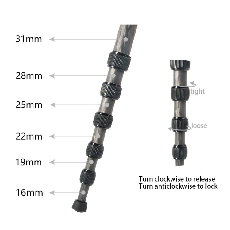 BEXIN P306C Portable Travel Outdoor DSLR Camera Carbon Fiber Monopod Holder, P306C BEXIN P306C Portable Travel Outdoor DSLR Camera Carbon Fiber Monopod Holder, P306C