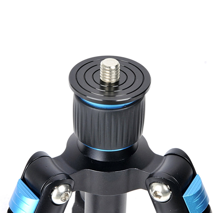 BEXIN MS08 Travel Camera Mini Tripods with Ball Head for Smart Phone Dslr Camera BEXIN MS08 Travel Camera Mini Tripods with Ball Head for Smart Phone Dslr Camera