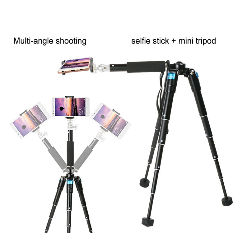 BEXIN MS15 Multifunctional Desktop Mini Camera Tripods for Camera Self-Timer Mobile Phone BEXIN MS15 Multifunctional Desktop Mini Camera Tripods for Camera Self-Timer Mobile Phone