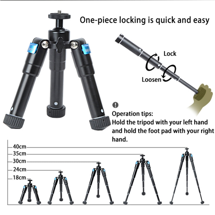 BEXIN MS15 Multifunctional Desktop Mini Camera Tripods for Camera Self-Timer Mobile Phone BEXIN MS15 Multifunctional Desktop Mini Camera Tripods for Camera Self-Timer Mobile Phone