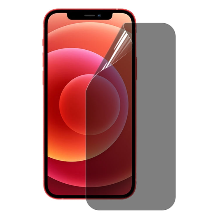 0,1 mm 2,5D Anti-Spion-Displayschutz mit vollständiger Abdeckung, explosionsgeschützter Hydrogelfilm, für iPhone 12 Mini (1 Stück), für iPhone 12 (1 Stück), für iPhone 12 Pro (1 Stück), für iPhone 12 Pro Max (1 Stück) 0,1 mm 2,5D Anti-Spion-Displayschutz mit vollständiger Abdeckung, explosionsgeschützter Hydrogelfilm, für iPhone 12 Mini (1 Stück), für iPhone 12 (1 Stück), für iPhone 12 Pro (1 Stück), für iPhone 12 Pro Max (1 Stück)