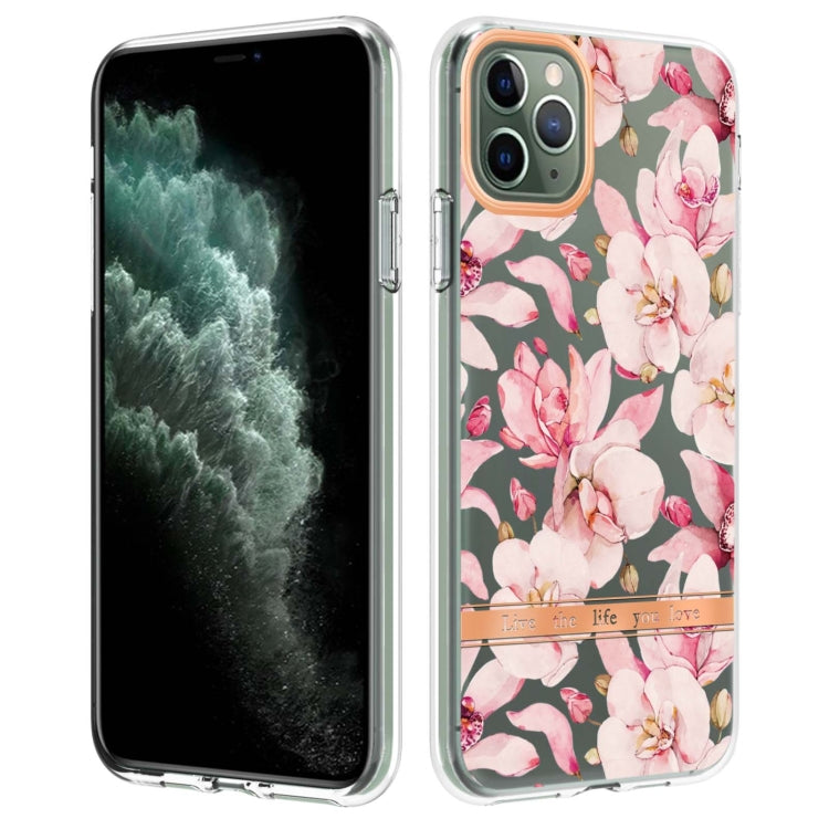 Flowers and Plants Series IMD TPU Phone Case, For iPhone 11, For iPhone 11 Pro Max, For iPhone 12 / 12 Pro, For iPhone 12 Pro Max Flowers and Plants Series IMD TPU Phone Case, For iPhone 11, For iPhone 11 Pro Max, For iPhone 12 / 12 Pro, For iPhone 12 Pro Max