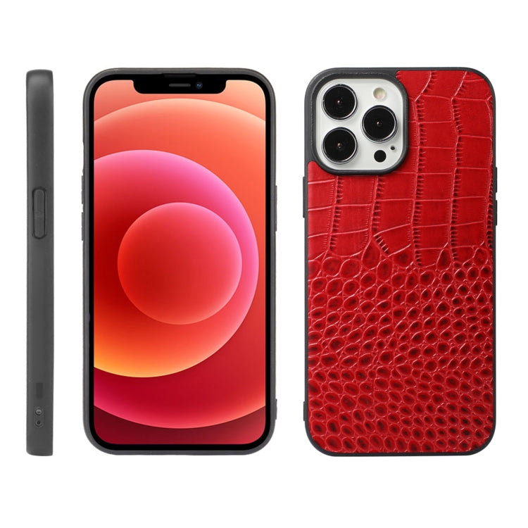 Crocodile Top Layer Cowhide Leather Case, For iPhone 13 mini, For iPhone 12 mini, For iPhone 12 / 12 Pro, For iPhone 12 Pro Max Crocodile Top Layer Cowhide Leather Case, For iPhone 13 mini, For iPhone 12 mini, For iPhone 12 / 12 Pro, For iPhone 12 Pro Max