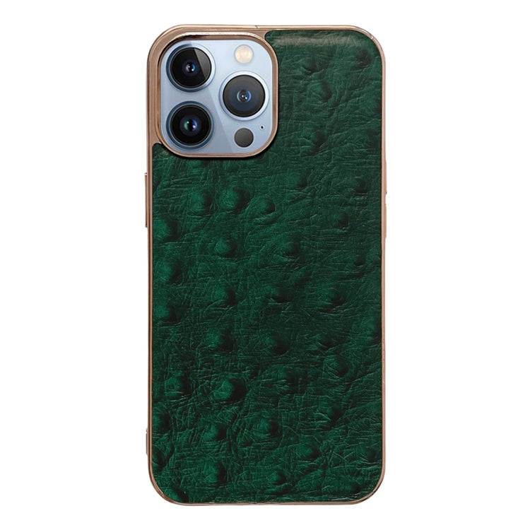 Genuine Leather Ostrich Texture Nano Case, For iPhone 13 Pro, For iPhone 13 Pro Max, For iPhone 13, For iPhone 14 Plus, For iPhone 14 Pro Max, For iPhone 14 Pro Genuine Leather Ostrich Texture Nano Case, For iPhone 13 Pro, For iPhone 13 Pro Max, For iPhone 13, For iPhone 14 Plus, For iPhone 14 Pro Max, For iPhone 14 Pro