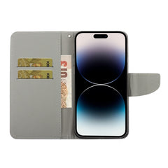 Colored Drawing Leather Phone Case, For iPhone 14 Pro Max