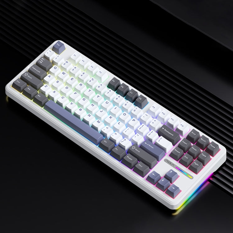 AULA F87 87 Keys Wired/2.4G/Bluetooth Three Model Customized RGB Mechanical Keyboard AULA F87 87 Keys Wired/2.4G/Bluetooth Three Model Customized RGB Mechanical Keyboard