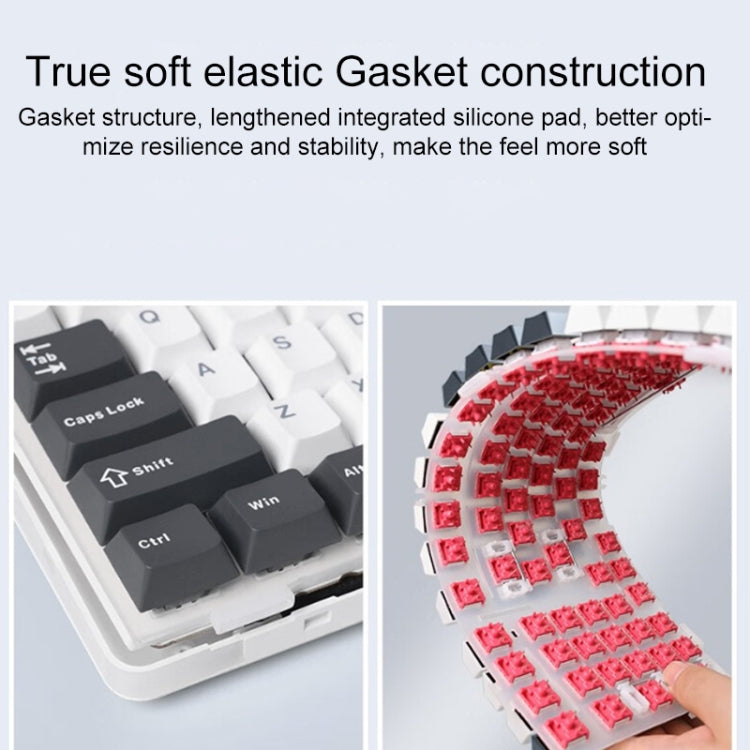 AULA F87 87 Keys Wired/2.4G/Bluetooth Three Model Customized RGB Mechanical Keyboard AULA F87 87 Keys Wired/2.4G/Bluetooth Three Model Customized RGB Mechanical Keyboard