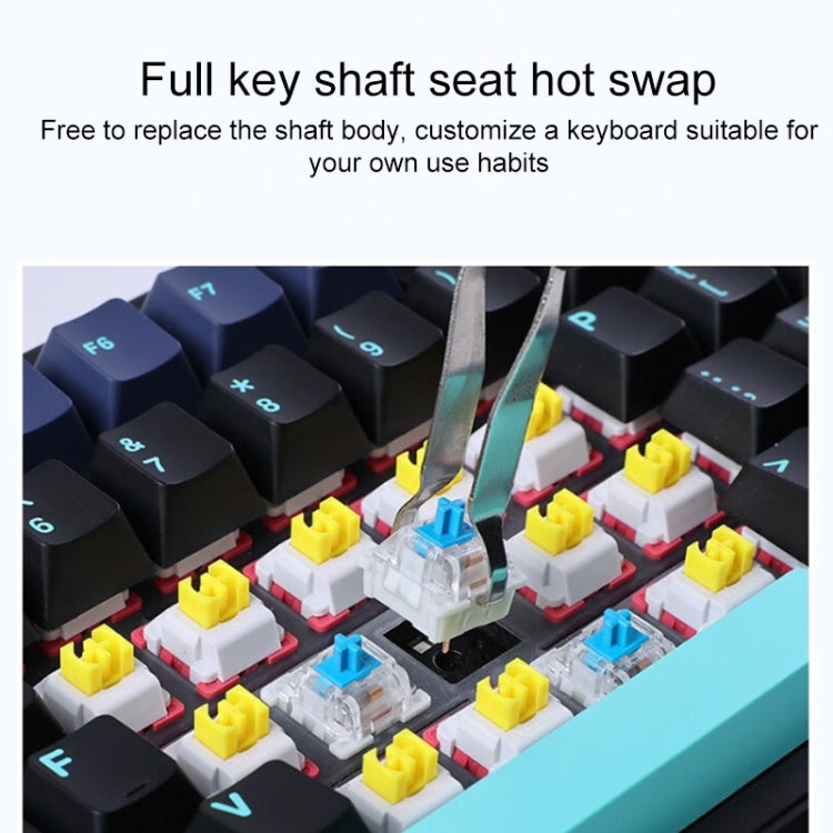 AULA F87 87 Keys Wired/2.4G/Bluetooth Three Model Customized RGB Mechanical Keyboard AULA F87 87 Keys Wired/2.4G/Bluetooth Three Model Customized RGB Mechanical Keyboard