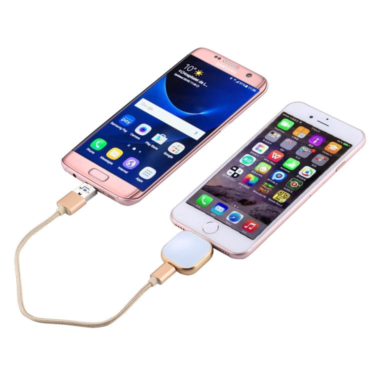 Unidad de disco flash multifuncional de 8 pines y 128 GB RQW-18S con cable USB/micro USB a micro USB, RQW-18S dorado Unidad de disco flash multifuncional de 8 pines y 128 GB RQW-18S con cable USB/micro USB a micro USB, RQW-18S dorado