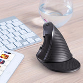 DELUX M618GX Wireless Ergonomic Vertical Mouse 1600DPI Optical Mouse, M618GX