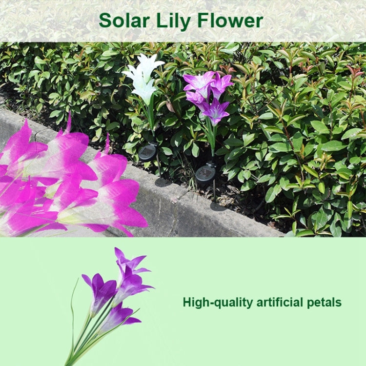 Simulated Lily Flower 4 Heads Solar Powered Outdoor IP55 Waterproof LED Decorative Lawn Lamp, White Light Simulated Lily Flower 4 Heads Solar Powered Outdoor IP55 Waterproof LED Decorative Lawn Lamp, White Light