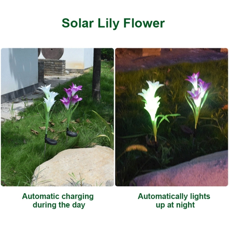 Simulated Lily Flower 4 Heads Solar Powered Outdoor IP55 Waterproof LED Decorative Lawn Lamp, White Light Simulated Lily Flower 4 Heads Solar Powered Outdoor IP55 Waterproof LED Decorative Lawn Lamp, White Light