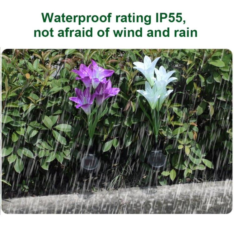 Simulated Lily Flower 4 Heads Solar Powered Outdoor IP55 Waterproof LED Decorative Lawn Lamp, White Light Simulated Lily Flower 4 Heads Solar Powered Outdoor IP55 Waterproof LED Decorative Lawn Lamp, White Light