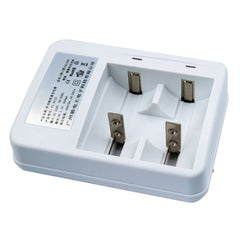 AC 220V 2 Slot Battery Charger for AA & AAA & C / D Size Battery, CN Plug