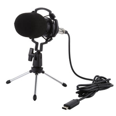 BM-700 USB Professional Condenser Microphone