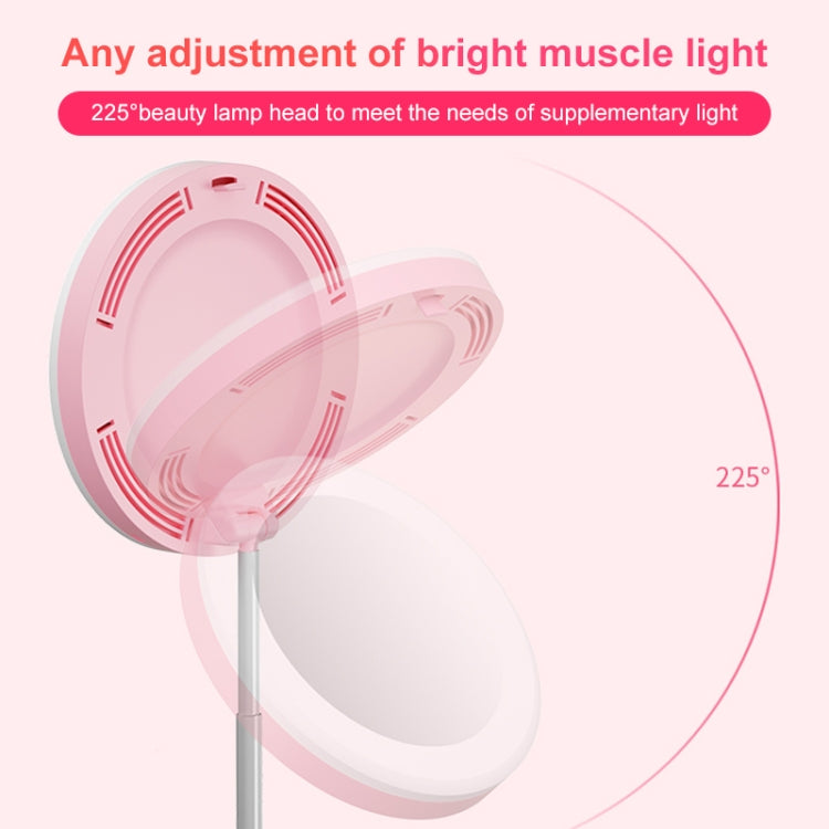 G6 Multi-function Live Broadcast All-in-one Ring Beauty Fill Light Mobile Phone Holder, G6 G6 Multi-function Live Broadcast All-in-one Ring Beauty Fill Light Mobile Phone Holder, G6