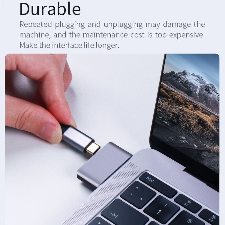 2 x USB Female to 2 x USB-C / Type-C Male Adapter, 2 x USB Female to 2 x Type-C Male 2 x USB Female to 2 x USB-C / Type-C Male Adapter, 2 x USB Female to 2 x Type-C Male