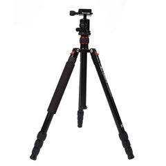 Triopo MT-2504C Adjustable Portable Aluminum Tripod with NB-1S Ball Head for Canon Nikon Sony DSLR Camera