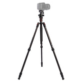 Triopo GT-2504X8.C Adjustable Portable Carbon Fiber Tripod with B-1 Aluminum Ball Head for Canon Nikon Sony DSLR Camera
