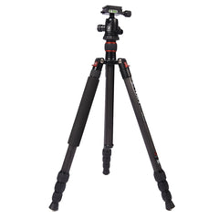 Triopo GT-2504X8.C Adjustable Portable Carbon Fiber Tripod with B-1 Aluminum Ball Head for Canon Nikon Sony DSLR Camera