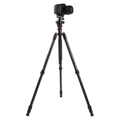 Triopo GT-2504X8.C Adjustable Portable Carbon Fiber Tripod with B-1 Aluminum Ball Head for Canon Nikon Sony DSLR Camera