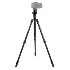 Triopo GT-2504X8.C Adjustable Portable Carbon Fiber Tripod with B-1 Aluminum Ball Head for Canon Nikon Sony DSLR Camera