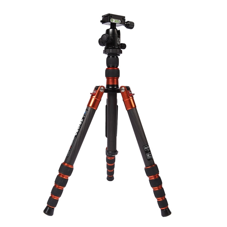 Triopo GT-2505x8.C Adjustable Portable Carbon Fiber Tripod with B-1 Aluminum Ball Head for Canon Nikon Sony DSLR Camera, GT-2505x8.C (Black), GT-2505x8.C (Gold) Triopo GT-2505x8.C Adjustable Portable Carbon Fiber Tripod with B-1 Aluminum Ball Head for Canon Nikon Sony DSLR Camera, GT-2505x8.C (Black), GT-2505x8.C (Gold)