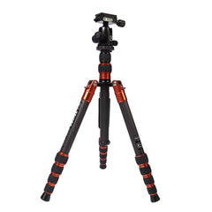 Triopo GT-2505x8.C Adjustable Portable Carbon Fiber Tripod with B-1 Aluminum Ball Head for Canon Nikon Sony DSLR Camera, GT-2505x8.C (Black), GT-2505x8.C (Gold)