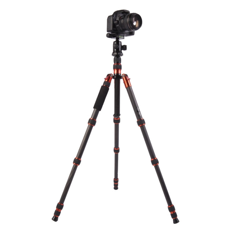 Triopo GT-2505x8.C Adjustable Portable Carbon Fiber Tripod with B-1 Aluminum Ball Head for Canon Nikon Sony DSLR Camera, GT-2505x8.C (Black), GT-2505x8.C (Gold) Triopo GT-2505x8.C Adjustable Portable Carbon Fiber Tripod with B-1 Aluminum Ball Head for Canon Nikon Sony DSLR Camera, GT-2505x8.C (Black), GT-2505x8.C (Gold)