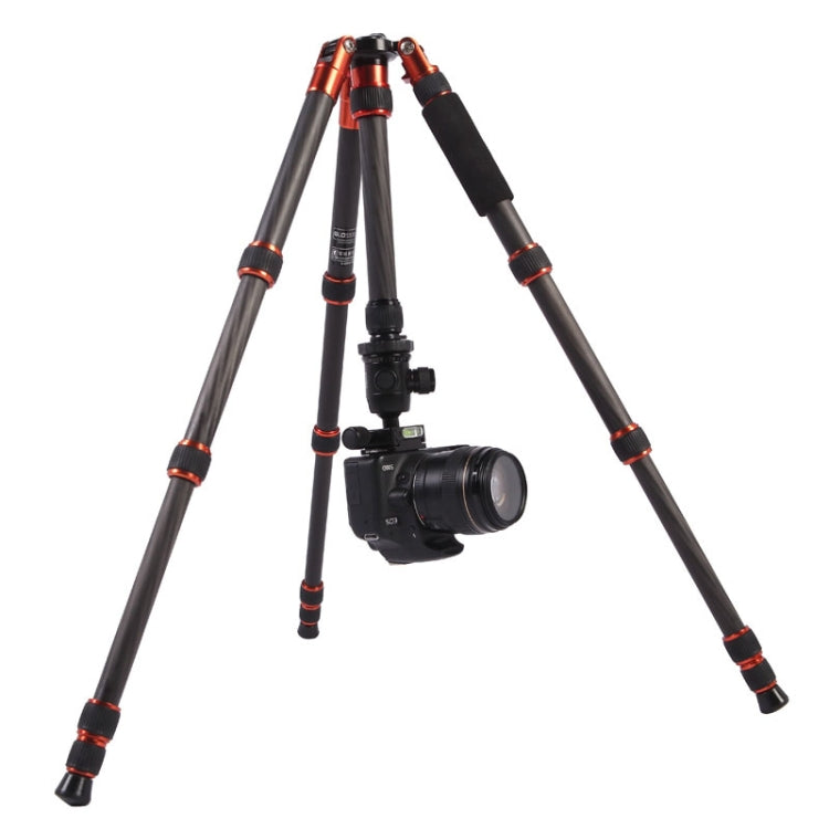 Triopo GT-2505x8.C Adjustable Portable Carbon Fiber Tripod with B-1 Aluminum Ball Head for Canon Nikon Sony DSLR Camera, GT-2505x8.C (Black), GT-2505x8.C (Gold) Triopo GT-2505x8.C Adjustable Portable Carbon Fiber Tripod with B-1 Aluminum Ball Head for Canon Nikon Sony DSLR Camera, GT-2505x8.C (Black), GT-2505x8.C (Gold)