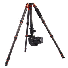 Triopo GT-2505x8.C Adjustable Portable Carbon Fiber Tripod with B-1 Aluminum Ball Head for Canon Nikon Sony DSLR Camera, GT-2505x8.C (Black), GT-2505x8.C (Gold)