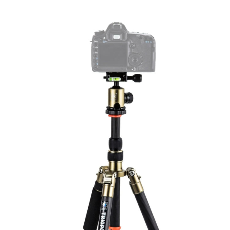 Triopo GT-2505x8.C Adjustable Portable Carbon Fiber Tripod with B-1 Aluminum Ball Head for Canon Nikon Sony DSLR Camera, GT-2505x8.C (Black), GT-2505x8.C (Gold) Triopo GT-2505x8.C Adjustable Portable Carbon Fiber Tripod with B-1 Aluminum Ball Head for Canon Nikon Sony DSLR Camera, GT-2505x8.C (Black), GT-2505x8.C (Gold)