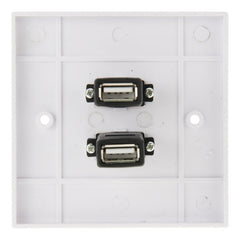 Dual USB 2.0 Female Plugs Home Wall Charger Plate Wall Plate Panel, 2 Ports USB 2.0