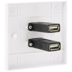 Dual USB 2.0 Female Plugs Home Wall Charger Plate Wall Plate Panel, 2 Ports USB 2.0