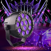 LED Purple Light Parlight Stage Laser Light, US Plug, EU Plug
