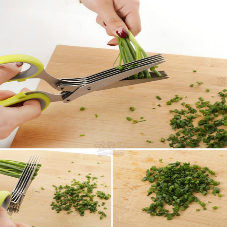 Minced 5 Layers Basil Rosemary Kitchen Scissor Shredded Chopped Scallion Cutter Minced 5 Layers Basil Rosemary Kitchen Scissor Shredded Chopped Scallion Cutter