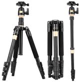 Q555 4-Section Folding Legs Aluminum Alloy Tripod Mount Monopod Holder with Ball Head
