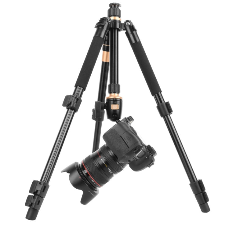 Q555 4-Section Folding Legs Aluminum Alloy Tripod Mount Monopod Holder with Ball Head Q555 4-Section Folding Legs Aluminum Alloy Tripod Mount Monopod Holder with Ball Head