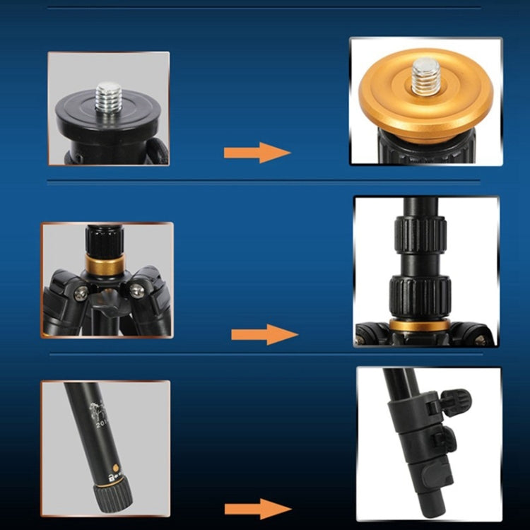 Q555 4-Section Folding Legs Aluminum Alloy Tripod Mount Monopod Holder with Ball Head Q555 4-Section Folding Legs Aluminum Alloy Tripod Mount Monopod Holder with Ball Head