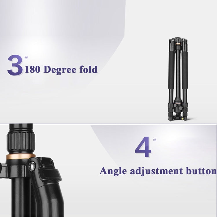 Q222 Portable 4-Section Folding Legs Aluminum Alloy Tripod Mount Monopod Holder with Ball Heads Q222 Portable 4-Section Folding Legs Aluminum Alloy Tripod Mount Monopod Holder with Ball Heads