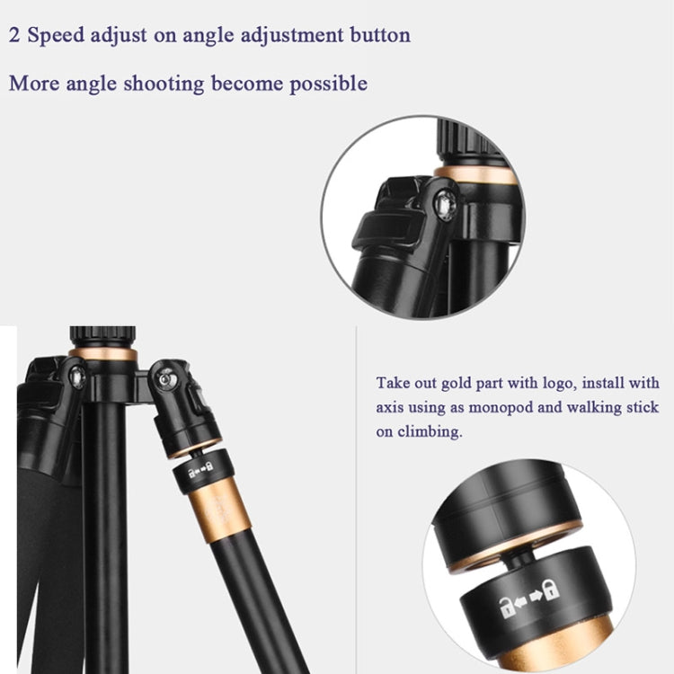 Q222 Portable 4-Section Folding Legs Aluminum Alloy Tripod Mount Monopod Holder with Ball Heads Q222 Portable 4-Section Folding Legs Aluminum Alloy Tripod Mount Monopod Holder with Ball Heads