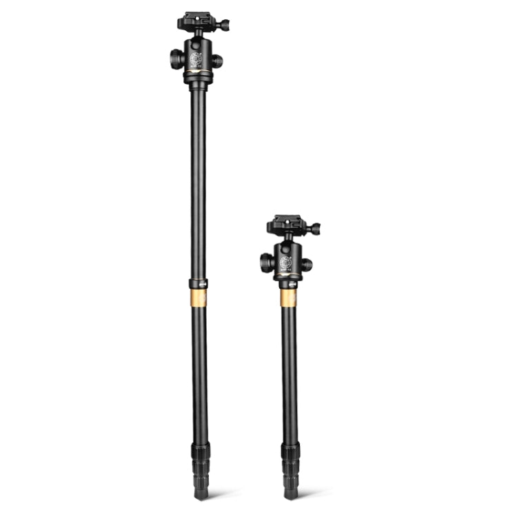 Q222 Portable 4-Section Folding Legs Aluminum Alloy Tripod Mount Monopod Holder with Ball Heads Q222 Portable 4-Section Folding Legs Aluminum Alloy Tripod Mount Monopod Holder with Ball Heads