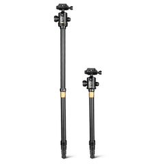 Q222 Portable 4-Section Folding Legs Aluminum Alloy Tripod Mount Monopod Holder with Ball Heads