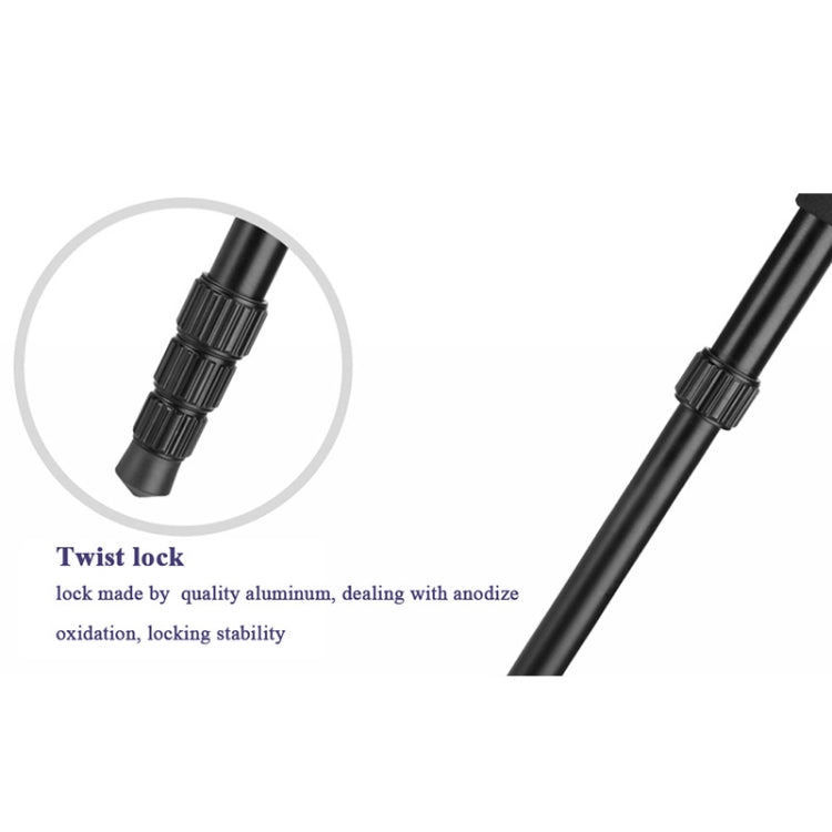 Q222 Portable 4-Section Folding Legs Aluminum Alloy Tripod Mount Monopod Holder with Ball Heads Q222 Portable 4-Section Folding Legs Aluminum Alloy Tripod Mount Monopod Holder with Ball Heads