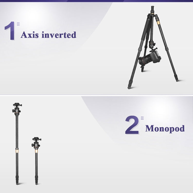 Q222 Portable 4-Section Folding Legs Aluminum Alloy Tripod Mount Monopod Holder with Ball Heads Q222 Portable 4-Section Folding Legs Aluminum Alloy Tripod Mount Monopod Holder with Ball Heads