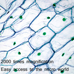 2000X WIFI High Magnification Biological Microscope USB HD Digital Magnifying Glass