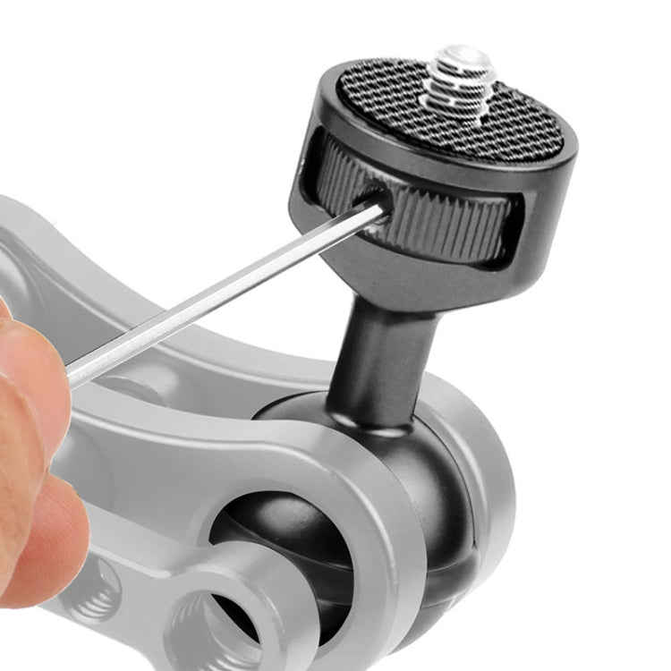 2.5cm Ball Head Clip for Action Camera Underwater Video Camera Light Diving Joint, Red, Black, Titanium 2.5cm Ball Head Clip for Action Camera Underwater Video Camera Light Diving Joint, Red, Black, Titanium