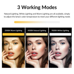 APEXEL APL-FL06 Portable Square Strip Live Video Conferencing Fill Light, APL-FL06